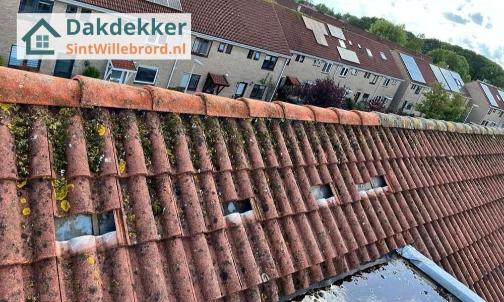 Een dakrenovatie bij oud pannendak in Sint-Willebrord